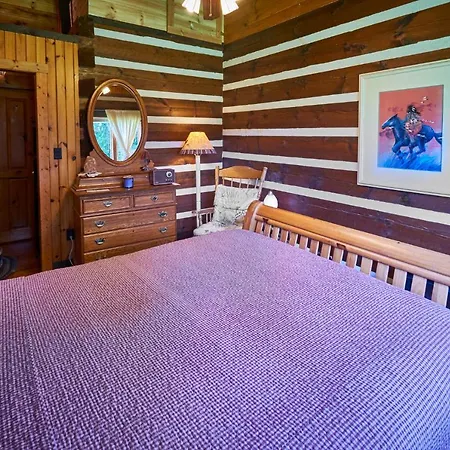 Creekwalk Inn Bed And Breakfast With Cabins Cosby Exterior photo